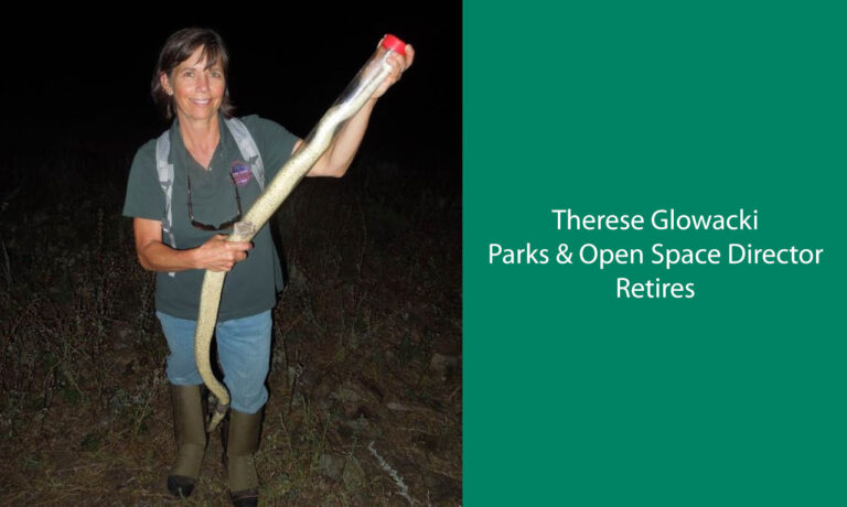 26 Years of Working for Parks & Open Space